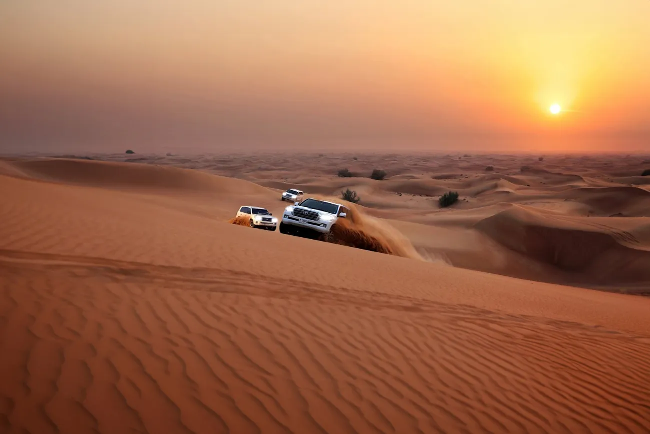 Desert Safari + Dhow Cruise Combo Dubai — guest photo 5