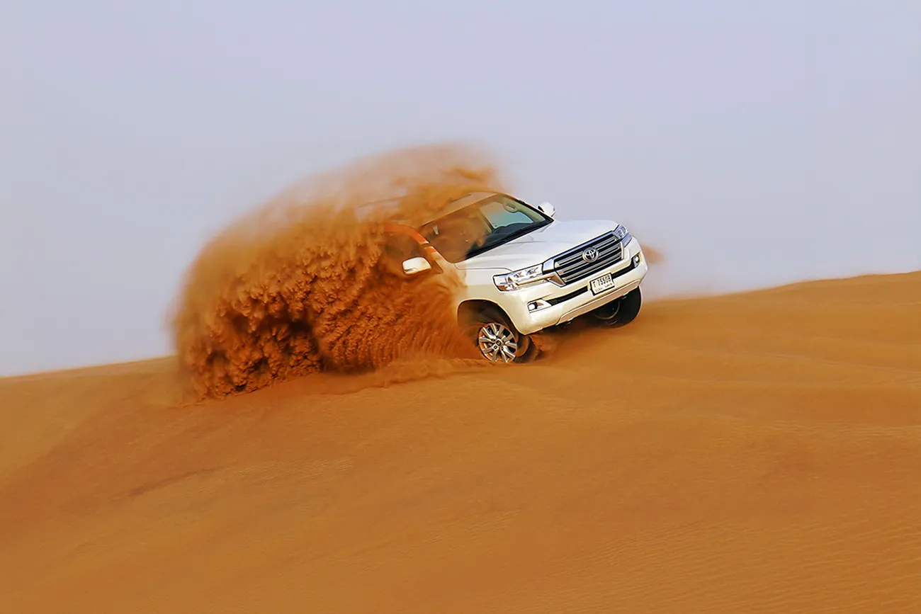 Evening Desert Safari Dubai with BBQ Dinner — guest photo 2