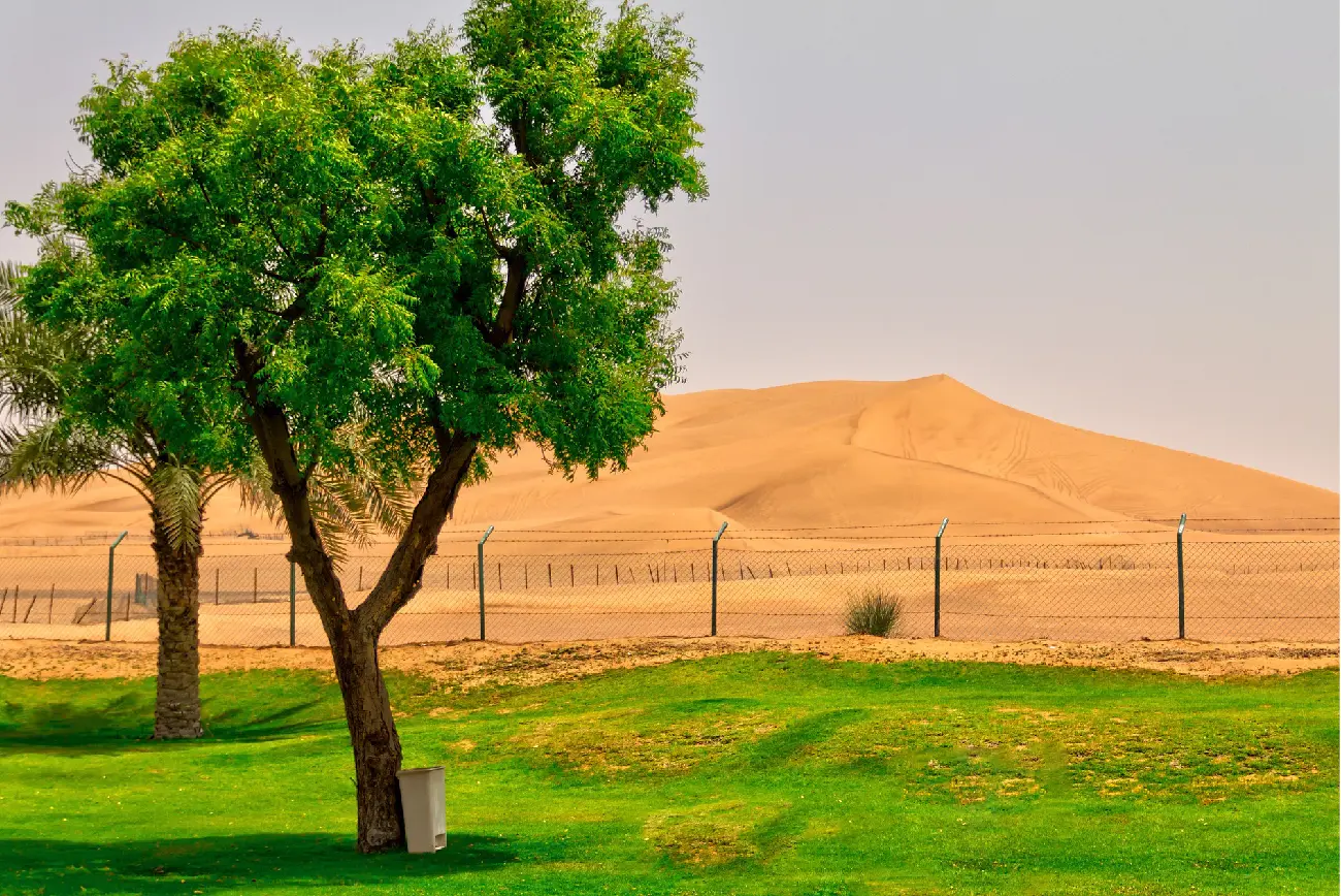 Group Desert Safari Dubai — Large Group Packages — guest photo 5