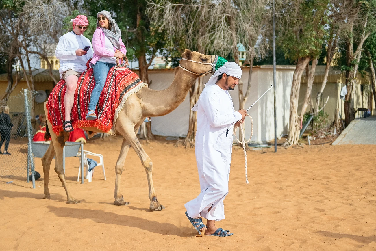 Morning Safari + Quad Biking Combo Dubai — guest photo 3