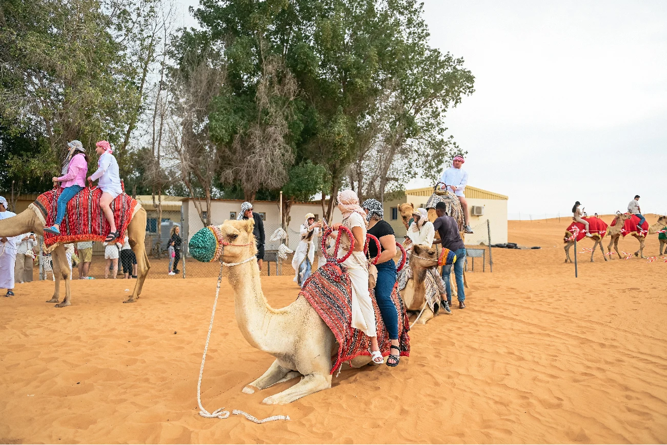 Morning Safari + Quad Biking Combo Dubai — guest photo 4